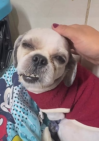 Muitas pessoas se uniram para salvar Frederico.