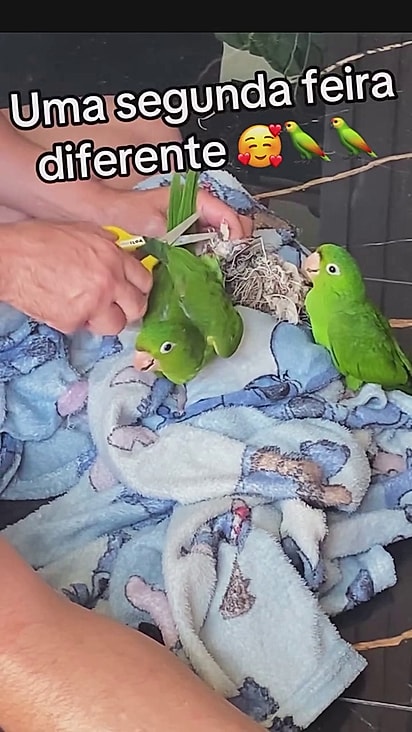 O casal foi resgatado junto.