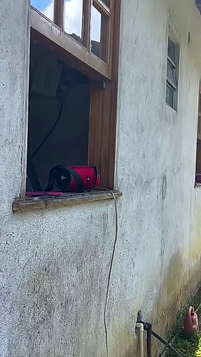 A letra fala justamente sobre passarinhos.