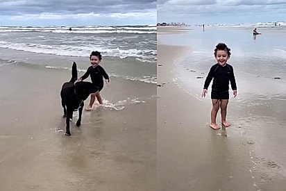 “Obrigado doguinho da praia”: Dia de mãe atípica muda quando cachorrinho resolve brincar com seu filho