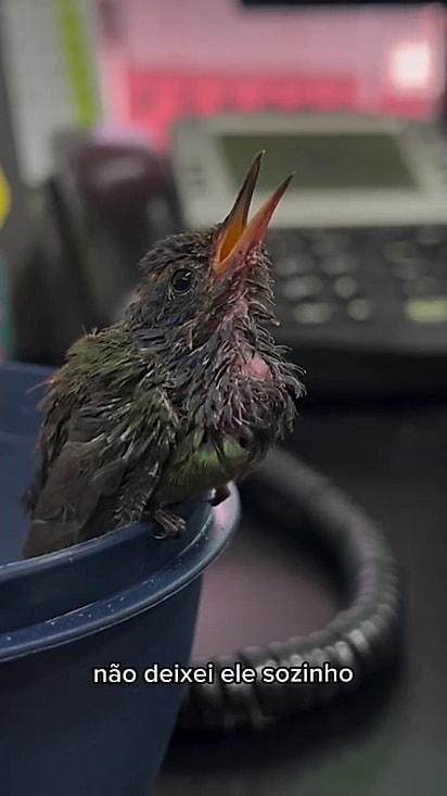 Davi precisou de cuidados intensos.