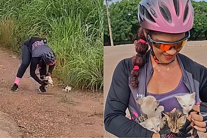 “Não pensou duas vezes”: Mulher interrompe pedal para salvar 4 filhotes e história viraliza.