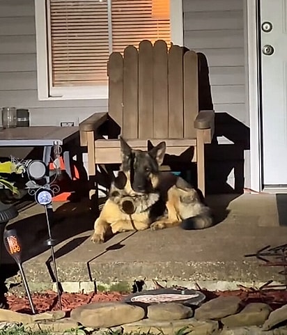 Ela não deixava ninguém chegar perto.