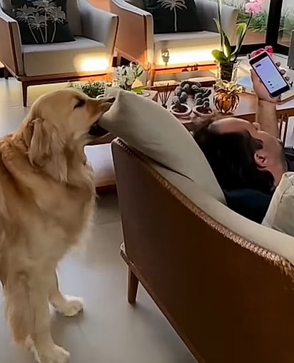 Alfredo ama carregar objetos.