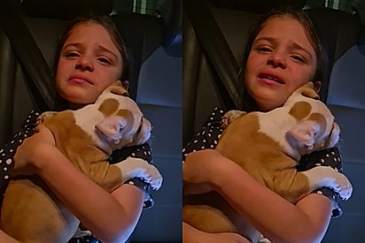 O presente mais lindo dessa vida: menina explode de emoção ao ganhar filhotinho dos seus sonhos