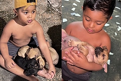  Arthur encanta ao defender filhotes abandonados e mostra que empatia também se aprende desde cedo