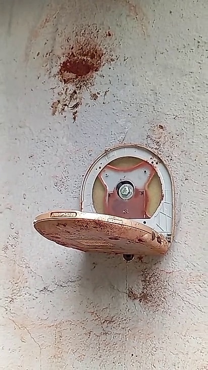 O homem teve uma ideia para não prejudicar a mãe sabiá.