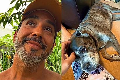 Ator de despede do seu cão com mais de 15 anos