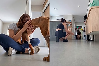 “Podia dar entrada em um carro”: Jovem é criticada por gastar 20 mil no tratamento de cachorrinha e dá a melhor resposta