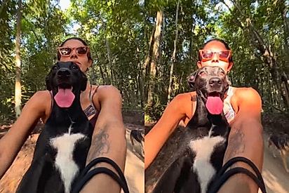 Se existe vida melhor, eu não conheço: Moça viraliza passear de moto com seu cão e sorriso do pet chama atenção