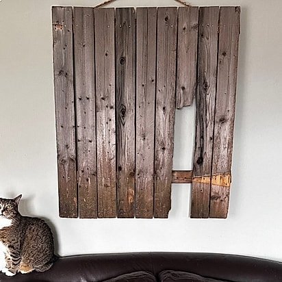 Chris emoldurou a cerca — o lugar onde tudo começou.