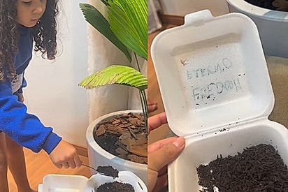 Menina fazia despedida emocionante para seu peixe, mas tudo dá errado após comentário de mãe: Completo com maionese