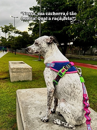 Segundo a tutora, algumas pessoas perguntam se Maria Flor é de raça.