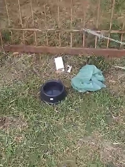 O animal foi deixado no local com um pote de água.