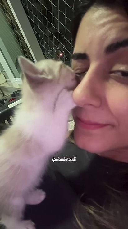 Ianara é protetora independente.