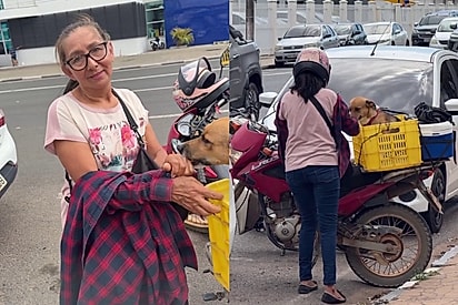 “140 km por amor”: Tutora enfrenta estrada de moto para garantir atendimento a seu cão caramelo e gesto emociona