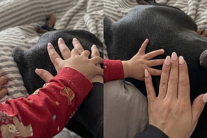 “Cães não são brinquedos”: Mãe ensina bebê a tratar pets com respeito e atitude viraliza.