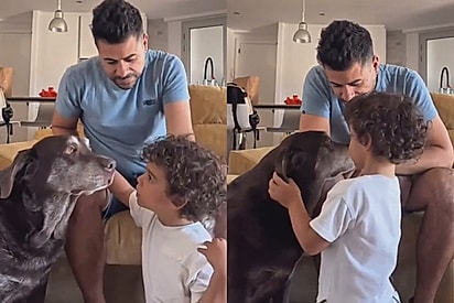Pai se emociona ao ver filho fazendo declaração de amor para cão da família