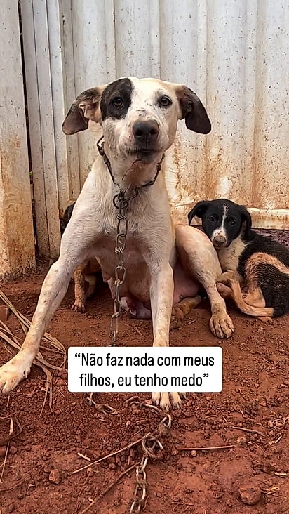 Todas estavam assustadas.