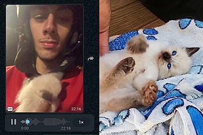 Mãe não briga comigo, eu achei ele na rua”: Jovem leva gatinho para doar, mas tudo muda quando família vê seu rostinho