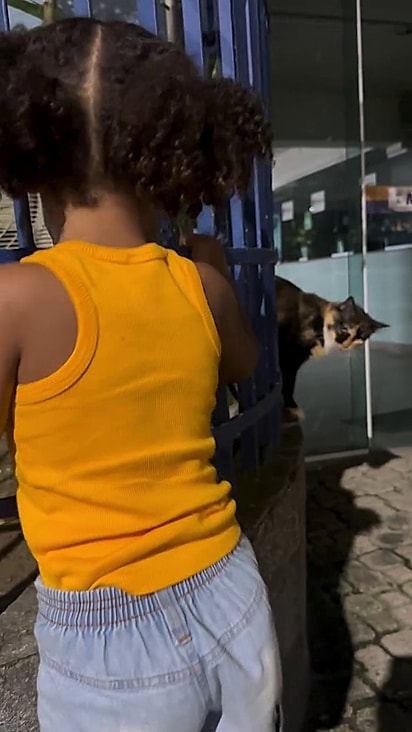 O gatinha estava na calçada.