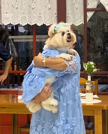 Mel com o vestidinho igual ao da avó.