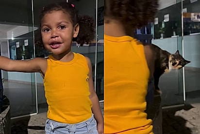 Como um ser tão pequeno tem uma bondade tão grande?