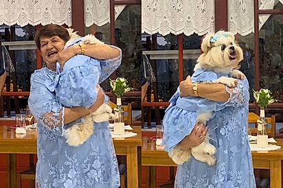 Família leva neta preferida no aniversário de 80 anos da avó e encontro encanta