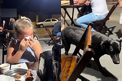 Mãe pede para filha parar de dar ossos aos cães de rua e recebe lição inesperada da criança