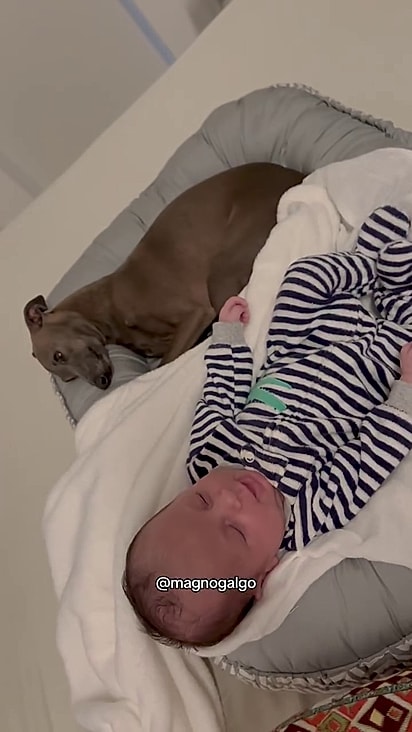 Eles são inseparáveis.