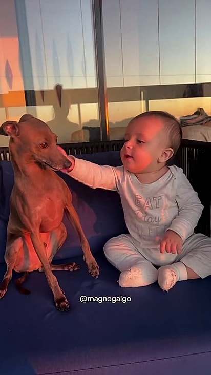 Os dois estão crescendo juntos.