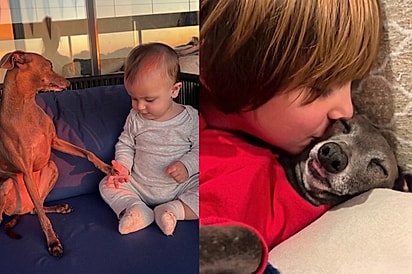 Desde o primeiro momento, cachorrinho cria conexão especial com bebê e, hoje, amizade dos dois encanta