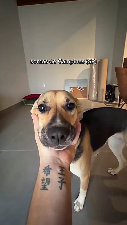 Kira estava com a família desde filhote.