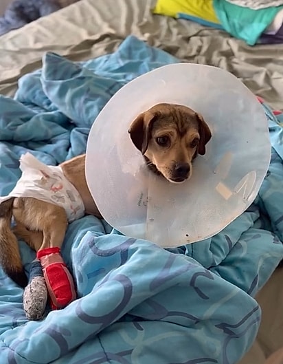 Pelé passou por inúmeras complicações de saúde. 