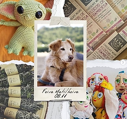 O abrigo nunca desistiu de encontrar uma família para Rita; por isso, sempre a divulgava.