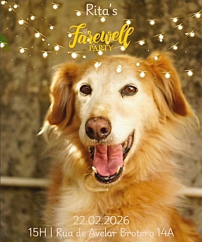 Post convidando as pessoas para a comemoração da adoção da Rita.