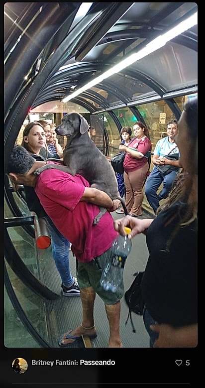 Internautas compartilharam fotos da dupla.