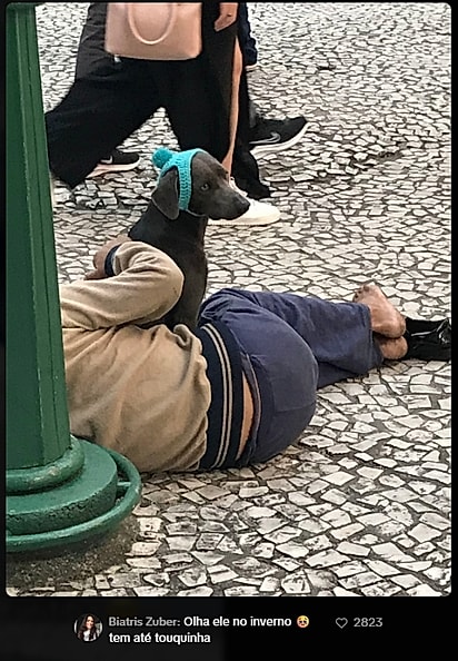 Internautas compartilharam fotos da dupla.