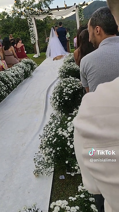 O cachorro foi bem recebido até pelos noivos.