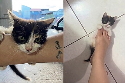 Homem compra carro de leilão e encontra brinde inesperado no motor