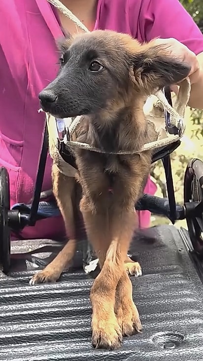 Nucita em sua cadeira de rodas. 