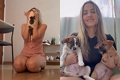 “Não sabia que precisava tanto deles”: Adoção de dois filhotes transforma vida de jovem.