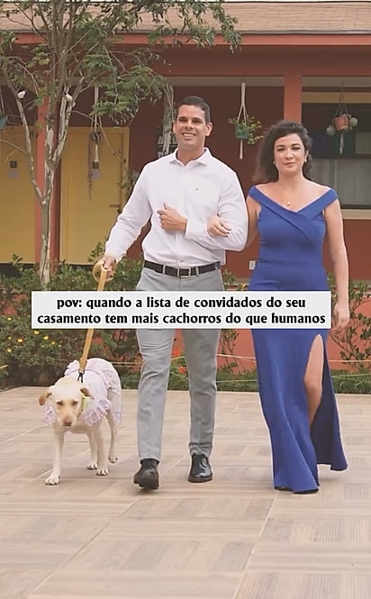 Os convidados levaram seus próprios cães.
