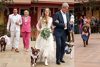 Lista de convidados de casamento tem mais cachorros que pessoas e cerimônia viraliza