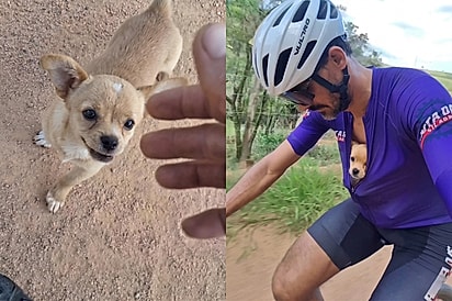 Ela mudou sua vida para sempre