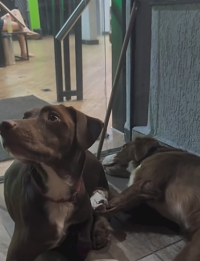 Os três estavam sempre em frente a uma academia.