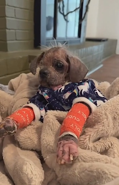 Foram meses de reabilitação.