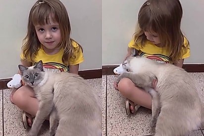 Ela tá com saudade: Gata abraça menina após ela passar o dia fora e cena emociona mãe