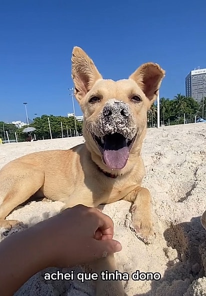 Caramelinha teve sua vida transformada ao se aproximar, na praia, de Juliana — uma pessoa de bom coração.