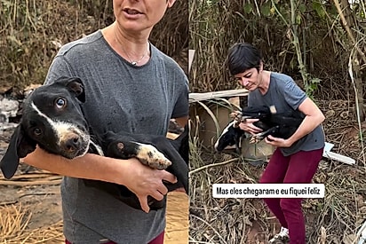 “Mesmo sem forças, ela abanava o rabinho”: Protetora se emociona ao resgatar cachorrinha que nunca de desistiu do amor